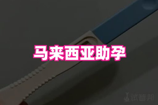 贵州助孕网站 1