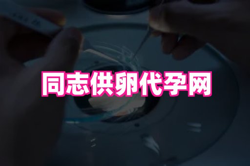 贵州助孕网站 2