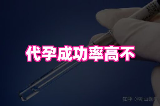 贵州助孕网站 3